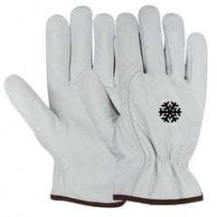 Žieminės darbo pirštinės Drive Winter цена и информация | Рабочие перчатки | pigu.lt