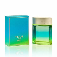 Мужская парфюмерия Tous Man Chill EDT (100 мл) цена и информация | Мужские духи | pigu.lt