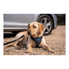 Упряжь для собак Company of Animals CarSafe Чёрный Размер М цена и информация | Автомобильные чехлы, аксессуары | pigu.lt