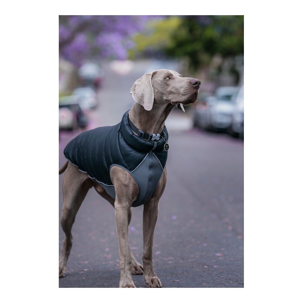 Šuns švarkas TicWatch Puffer, juoda ir pilka kaina ir informacija | Drabužiai šunims | pigu.lt
