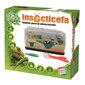Edukacinis žaidimas Insecticefa Plus Cefatoys (ES) цена и информация | Lavinamieji žaislai | pigu.lt