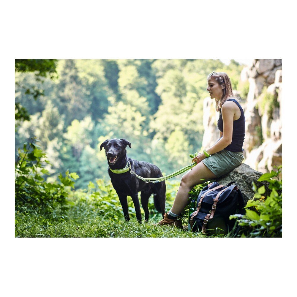 Hunter Hilo šuns pavadėlis, 200 cm, turkio kaina ir informacija | Pavadėliai šunims | pigu.lt