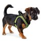Šuns pakinktai Hunter Hilo-Comfort, XXS 26-30 cm цена и информация | Kelioniniai reikmenys | pigu.lt