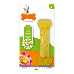 Прорезыватель для зубов для собак Nylabone Moderate Chew Размер S Курица термопласт цена и информация | Игрушки для собак | pigu.lt