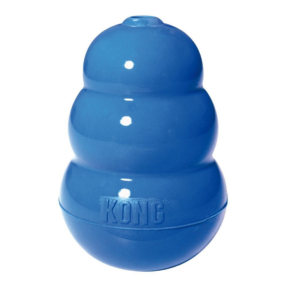 Šuns žaislas KVP Kong XL, mėlynas kaina ir informacija | Žaislai šunims | pigu.lt