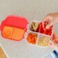 Mini maisto dėžutė vaikams B.BOX Strawberry Shake kaina ir informacija | Kūdikių indai, indeliai pienui ir įrankiai | pigu.lt