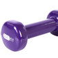 Vinilo hantelis PROfit 0,75kg purpurinis DK 4102 kaina ir informacija | Svoriai, svarmenys, štangos | pigu.lt