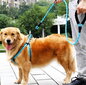 Šuns pavadėlis C18, 1.5m, mėlynas цена и информация | Pavadėliai šunims | pigu.lt