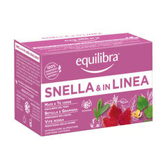 Equilibra Slim & In-Line Herbal Tea žolelių arbata padedanti reguliuoti kūno svorį, 15 pakelių kaina ir informacija | Arbatos ir vaistažolės | pigu.lt