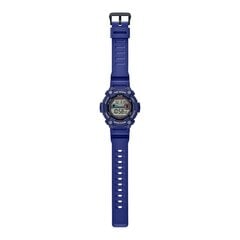 Наручные часы Casio WS-1300H-2AVEF цена и информация | Мужские часы | pigu.lt