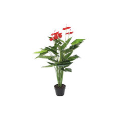 Dekoratyvinis augalas kaina ir informacija | Dirbtinės gėlės | pigu.lt