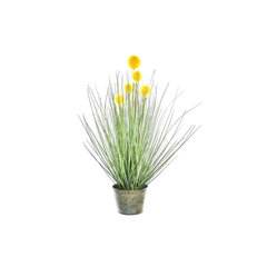 Декоративное растение Versa 15 x 65 x 15 cm Пластик цена и информация | Искусственные цветы | pigu.lt