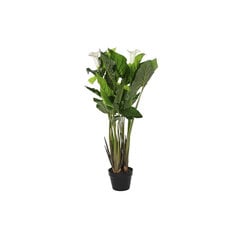 Декоративное растение DKD Home Decor Белый Зеленый PE лилии (50 x 50 x 100 cm) цена и информация | Искусственные цветы | pigu.lt