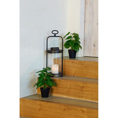 Декоративное растение DKD Home Decor, 45 x 45 x 150 см цена и информация | Искусственные цветы | pigu.lt