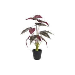 Декоративное растение DKD Home Decor Зеленый Бордовый PE (20 x 20 x 49 cm) цена и информация | Искусственные цветы | pigu.lt