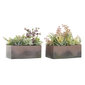 Dekoratyvinis augalas, 2 vnt. kaina ir informacija | Dirbtinės gėlės | pigu.lt