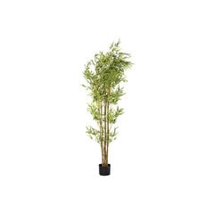 Декоративное растение DKD Home Decor Зеленый Бамбук PE (40 x 40 x 150 cm) цена и информация | Искусственные цветы | pigu.lt