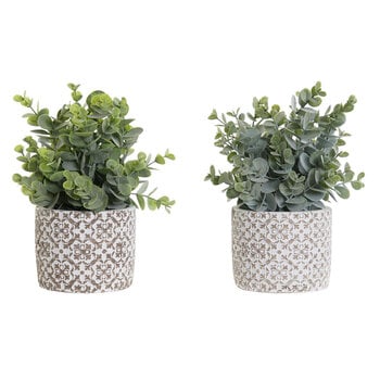 Декоративное растение DKD Home Decor Кувшин Зеленый Смола PE (10,5 x 10,5 x 24 cm) (2 штук) цена и информация | Искусственные цветы | pigu.lt