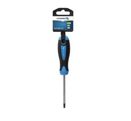 Отвертка Hogert Torx T40 x 100 мм, HT1S059 цена и информация | Механические инструменты | pigu.lt