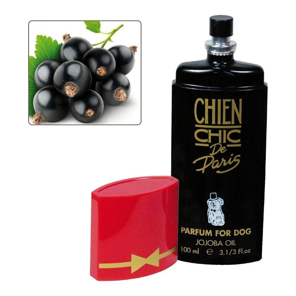 Chien Chic kvepalai gyvūnams, serbentų kvapo, 100 ml цена и информация | Kosmetinės priemonės gyvūnams | pigu.lt