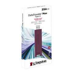 Kingston DataTraveler 256GB USB 3.2 kaina ir informacija | USB laikmenos | pigu.lt