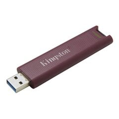 Kingston DataTraveler 256GB USB 3.2 цена и информация | USB накопители | pigu.lt