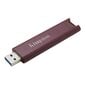 Kingston DataTraveler 256GB USB 3.2 цена и информация | USB laikmenos | pigu.lt