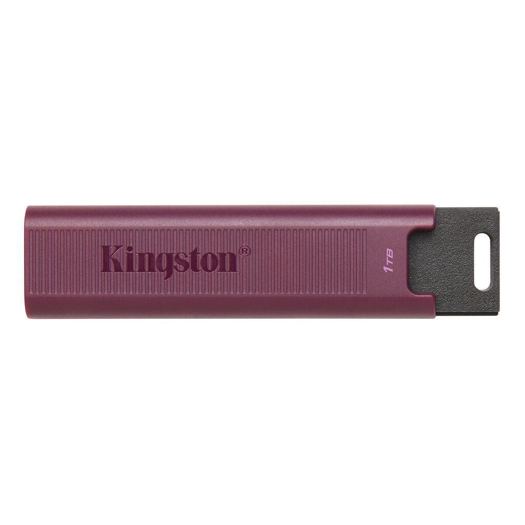 Kingston DataTraveler 1TB USB 3.2 kaina ir informacija | USB laikmenos | pigu.lt