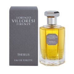 Tualetinis vanduo Lorenzo Villoresi Theseus EDT moterims, 100 ml kaina ir informacija | Kvepalai moterims | pigu.lt