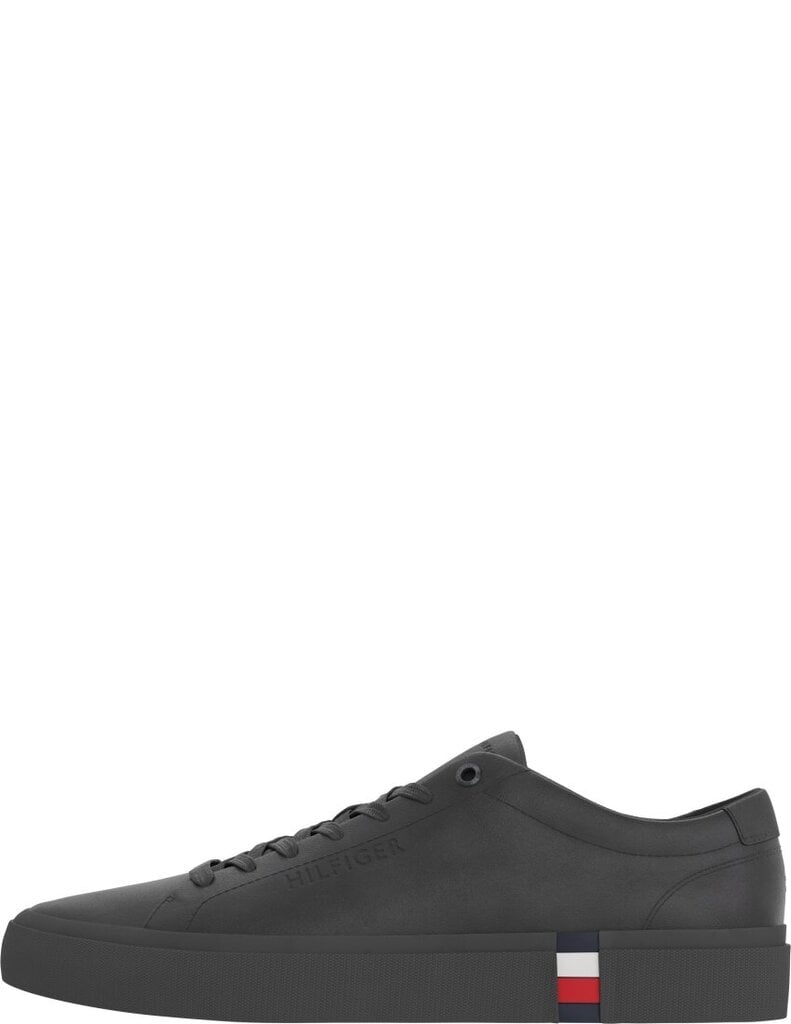 Laisvalaikio batai vyrams Tommy Hilfiger Modern Vulc Corporate kaina ir informacija | Kedai vyrams | pigu.lt