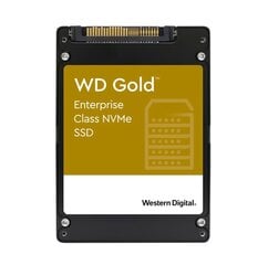 Western Digital Enterprise Gold WDS384T1D0D цена и информация | Внутренние жёсткие диски (HDD, SSD, Hybrid) | pigu.lt