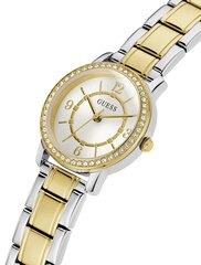 Часы Guess GW0468L4 цена и информация | Женские часы | pigu.lt