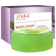 Muilas su baziliku Basil Soap Jiva Ayurveda, 100g kaina ir informacija | Muilai | pigu.lt