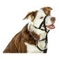 Company of Animals Halti šuns antsnukis, 51-73 cm, juodas kaina ir informacija | Antkakliai, petnešos šunims | pigu.lt