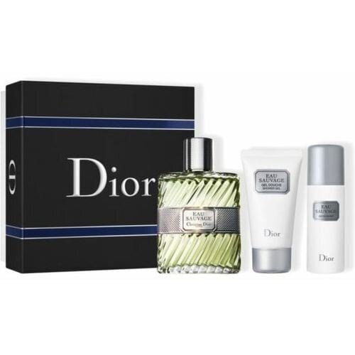 Rinkinys Dior Eau Sauvage Tualetinis vanduo, 100 ml + dušo želė,50 ml + dezodorantas, 50 ml kaina ir informacija | Parfumuota kosmetika vyrams | pigu.lt