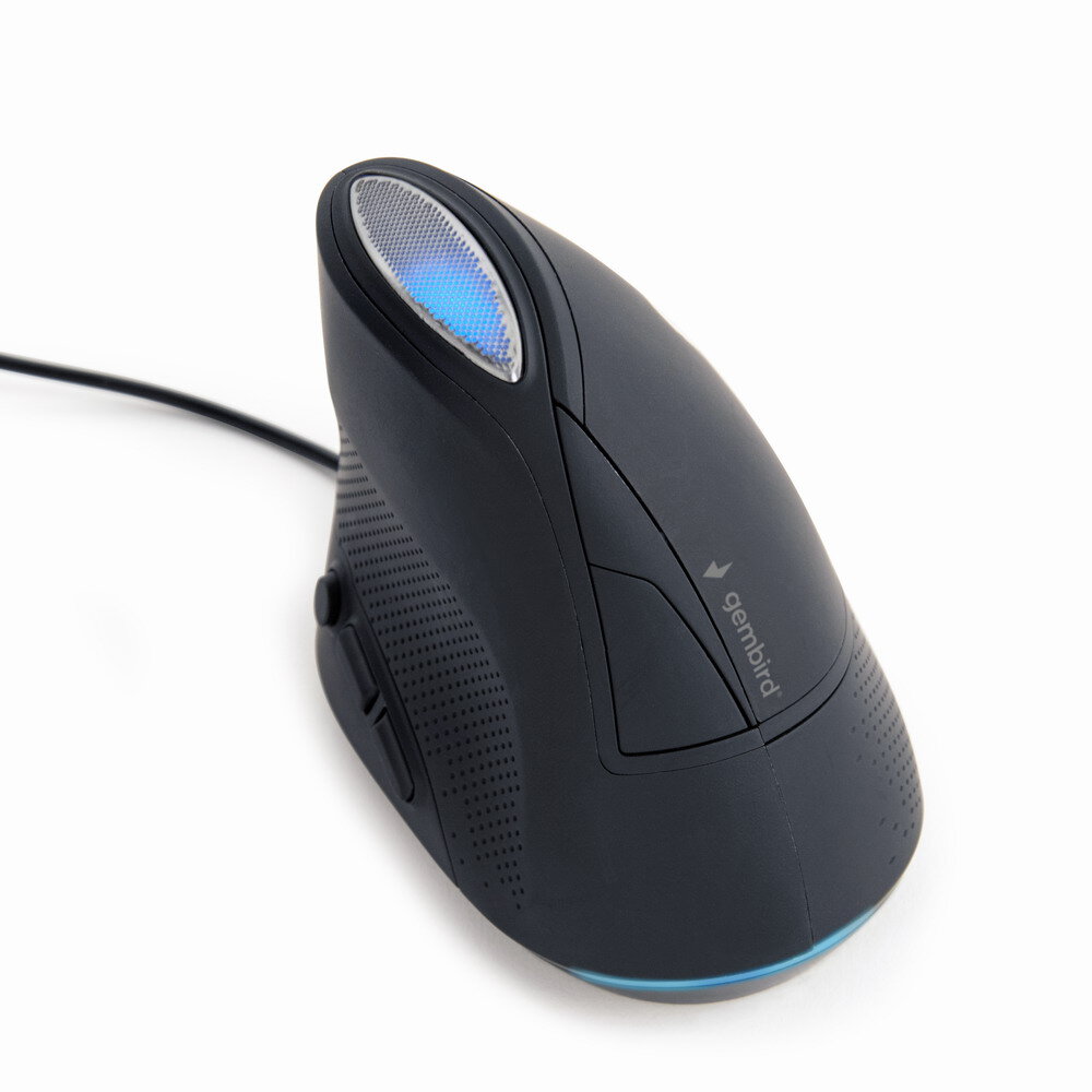 MOUSE USB OPTICAL SPACEGREY/ERGONOMIC MUS-ERGO-03 GEMBIRD цена и информация | Pelės | pigu.lt