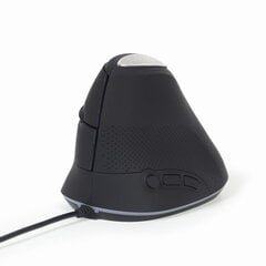 MOUSE USB OPTICAL SPACEGREY/ERGONOMIC MUS-ERGO-03 GEMBIRD kaina ir informacija | Pelės | pigu.lt