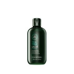 Valomasis šampūnas Paul Mitchell Tea Tree Special Shampoo, 75 ml kaina ir informacija | Šampūnai | pigu.lt