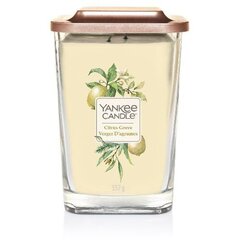Yankee Candle Elevation Citrus Grove Candle - Scented candle 347.0g цена и информация | Подсвечники, свечи | pigu.lt
