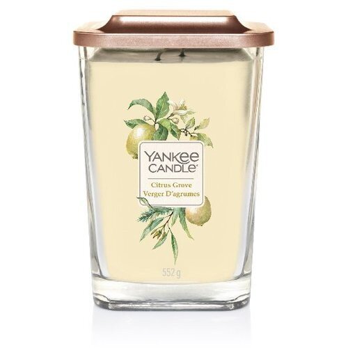 Yankee Candle žvakė Citrus Grove, 347 g цена и информация | Žvakės, Žvakidės | pigu.lt