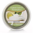 Žvakė Yankee Candle, 61 g.