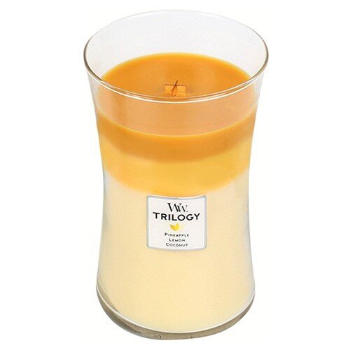 WoodWick kvapioji žvakė Trilogy Fruits of Summer 609,5 g kaina ir informacija | Žvakės, Žvakidės | pigu.lt