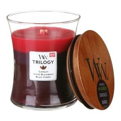 WoodWick ароматическая свеча Sun Ripened Berries Trilogy 609.0 г цена и информация | Подсвечники, свечи | pigu.lt