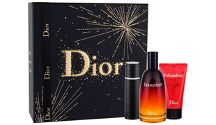 Rinkinys Christian Dior Fahrenheit EDT vyrams: tualetinis vanduo 100 ml + dušo želė 50 ml + mini 10 ml цена и информация | Мужские духи | pigu.lt