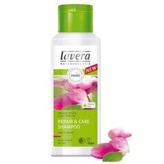 Šampūnas sausiems plaukams Lavera Shampoo for dry, stressed hair Repair and Care, 250ml kaina ir informacija | Šampūnai | pigu.lt