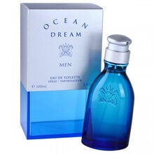 Vyriška dušo želė Ocean Dream Man, 200 ml kaina ir informacija | Parfumuota kosmetika vyrams | pigu.lt