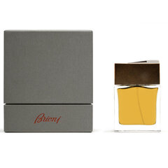 Kvapusis vanduo Brioni Brioni EDP 100 ml kaina ir informacija | Kvepalai vyrams | pigu.lt