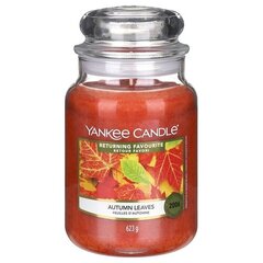 Ароматическая свеча Yankee Candle Autumn Leaves, 623 г цена и информация | Подсвечники, свечи | pigu.lt
