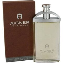 Туалетная вода Aigner Parfums pour Homme EDT, 100 мл цена и информация | Мужские духи | pigu.lt