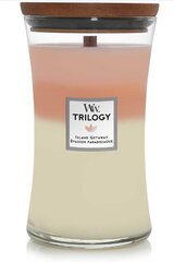 WoodWick Island Getaway Trilogy Vase (holiday on the island) - Scented candle 609.5g цена и информация | Подсвечники, свечи | pigu.lt